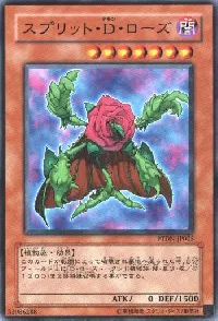 スプリット・Ｄ・ローズ