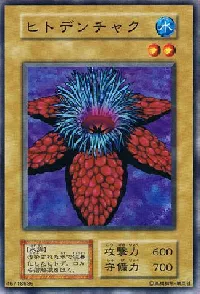 ヒトデンチャク