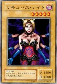 サキュバス・ナイト