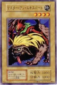 マスター・アン・エキスパート