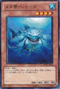 メタボ・シャーク