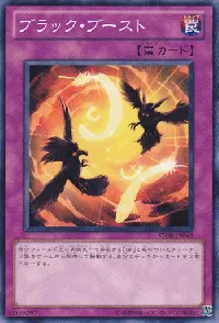 ブラック・ブースト