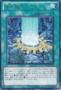 儀水鏡との交信