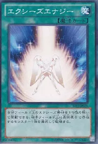 エクシーズエナジー