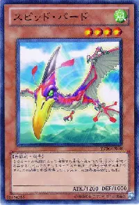 スピッド・バード