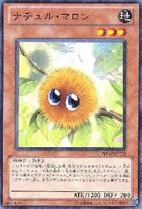 ナチュル・マロン