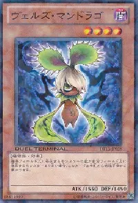 ヴェルズ・マンドラゴ