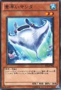 素早いマンタ