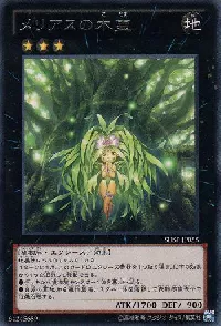 メリアスの木霊