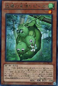 森羅の実張り ピース