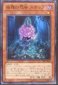 森羅の隠蜜 スナッフ