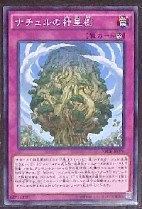 ナチュルの神星樹