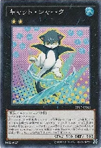 キャット・シャーク