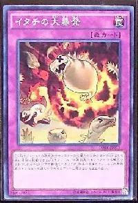 イタチの大暴発