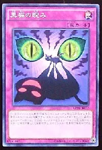 黒猫の睨み