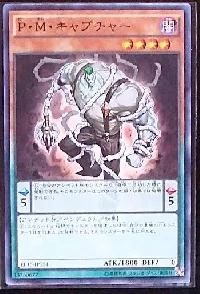 Ｐ・Ｍ・キャプチャー