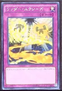 ワンダー・エクシーズ