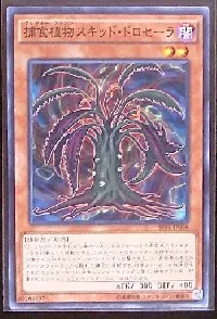 捕食植物スキッド・ドロセーラ