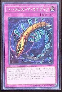 バージェストマ・カナディア