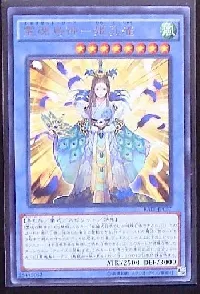 霊魂鳥神－姫孔雀