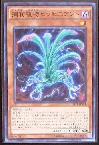 捕食植物セラセニアント