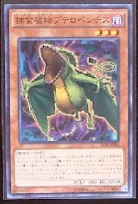 捕食植物プテロペンテス