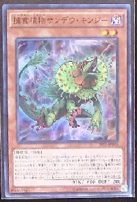 捕食植物サンデウ・キンジー