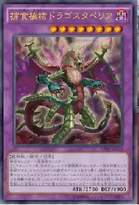 捕食植物ドラゴスタペリア