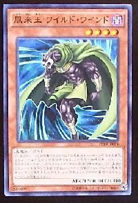 風来王 ワイルド・ワインド