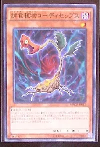 捕食植物コーディセップス