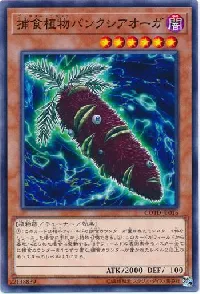 捕食植物バンクシアオーガ