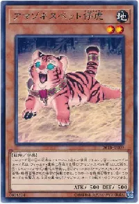 アマゾネスペット仔虎