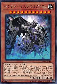 サブテラーマリス・エルガウスト