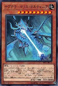 サブテラーマリス・ボルティニア