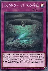 サブテラーマリスの潜伏