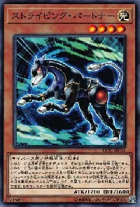 ストライピング・パートナー