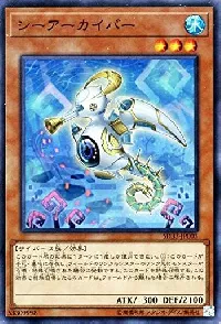 シーアーカイバー