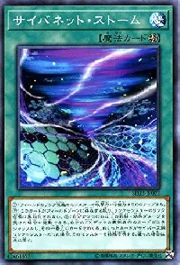 サイバネット・ストーム