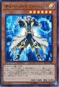 サイバース・ホワイトハット