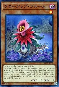 グローアップ・ブルーム