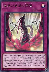 漆黒の薔薇の開華