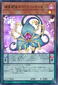 捕食植物スパイダー・オーキッド