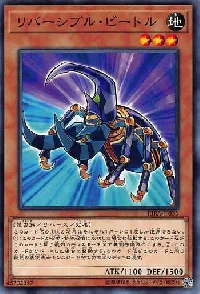 リバーシブル・ビートル