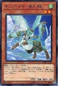 ホップ・イヤー飛行隊