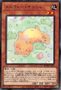 メルフィー・キャシィ