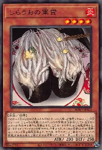 しらうおの軍貫