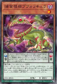 捕食植物ブフォリキュラ