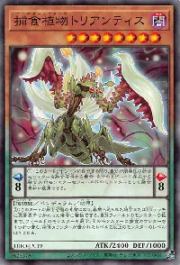 捕食植物トリアンティス