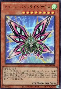 クイーン・バタフライ ダナウス