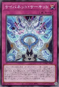 サイバネット・サーキット